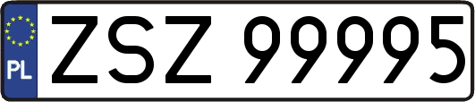 ZSZ99995