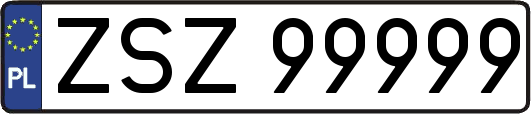 ZSZ99999