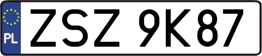 ZSZ9K87