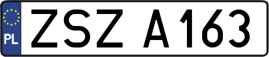 ZSZA163