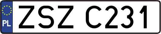 ZSZC231