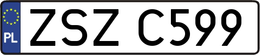 ZSZC599