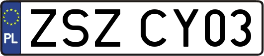 ZSZCY03