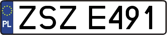 ZSZE491