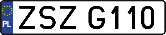 ZSZG110