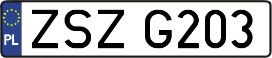 ZSZG203