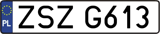 ZSZG613