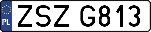 ZSZG813