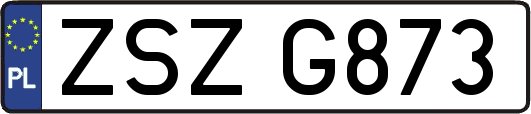 ZSZG873