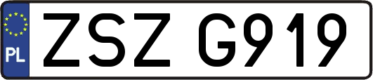 ZSZG919