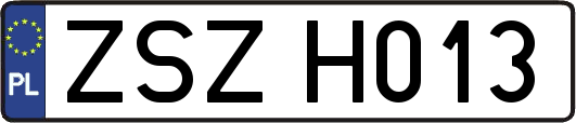 ZSZH013