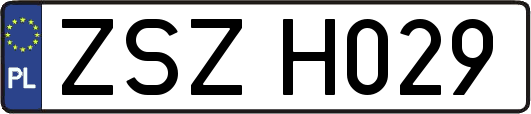 ZSZH029