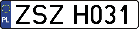 ZSZH031