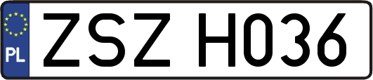 ZSZH036