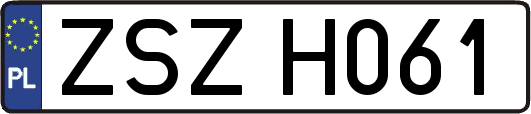 ZSZH061