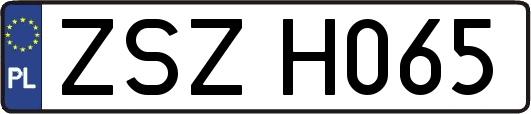 ZSZH065