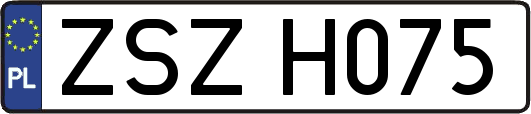 ZSZH075