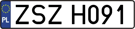 ZSZH091