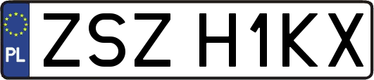 ZSZH1KX