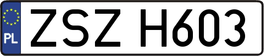 ZSZH603