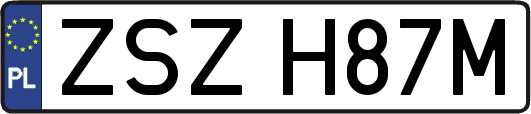 ZSZH87M