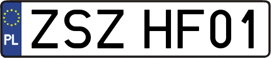 ZSZHF01