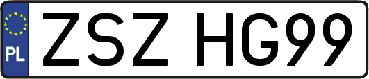 ZSZHG99