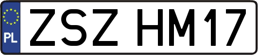 ZSZHM17