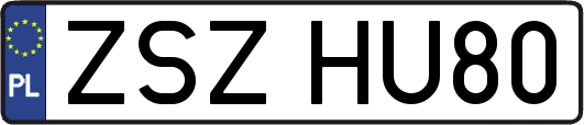 ZSZHU80