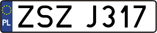 ZSZJ317