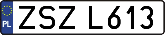 ZSZL613