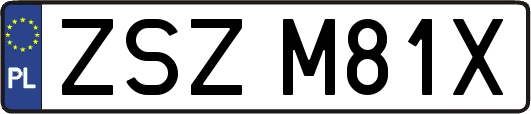 ZSZM81X