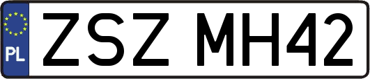 ZSZMH42