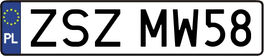 ZSZMW58