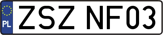 ZSZNF03