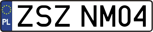 ZSZNM04