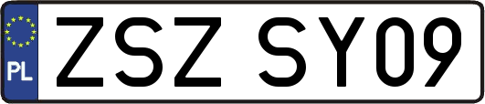 ZSZSY09