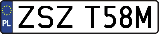 ZSZT58M