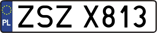 ZSZX813