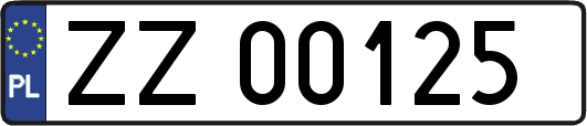 ZZ00125