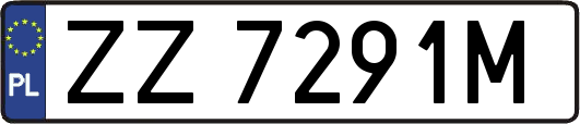 ZZ7291M